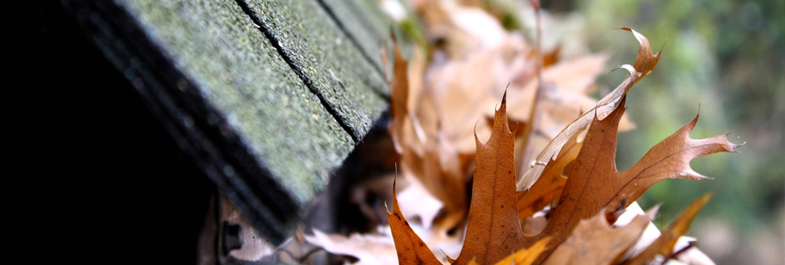 Summer Home Maintenance Tips