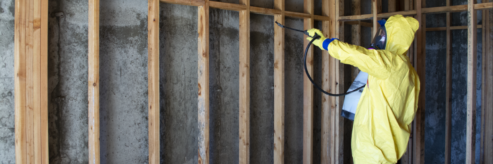 Mitigation technician spraying Goldmorr to remove mold in Donnelly, ID