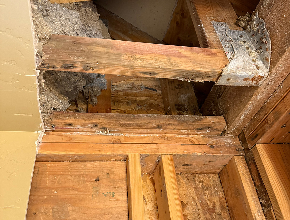 Mold in wood structure of a building