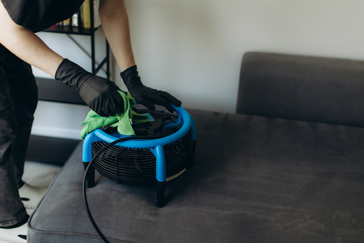 A professional technician cleaning a couch.